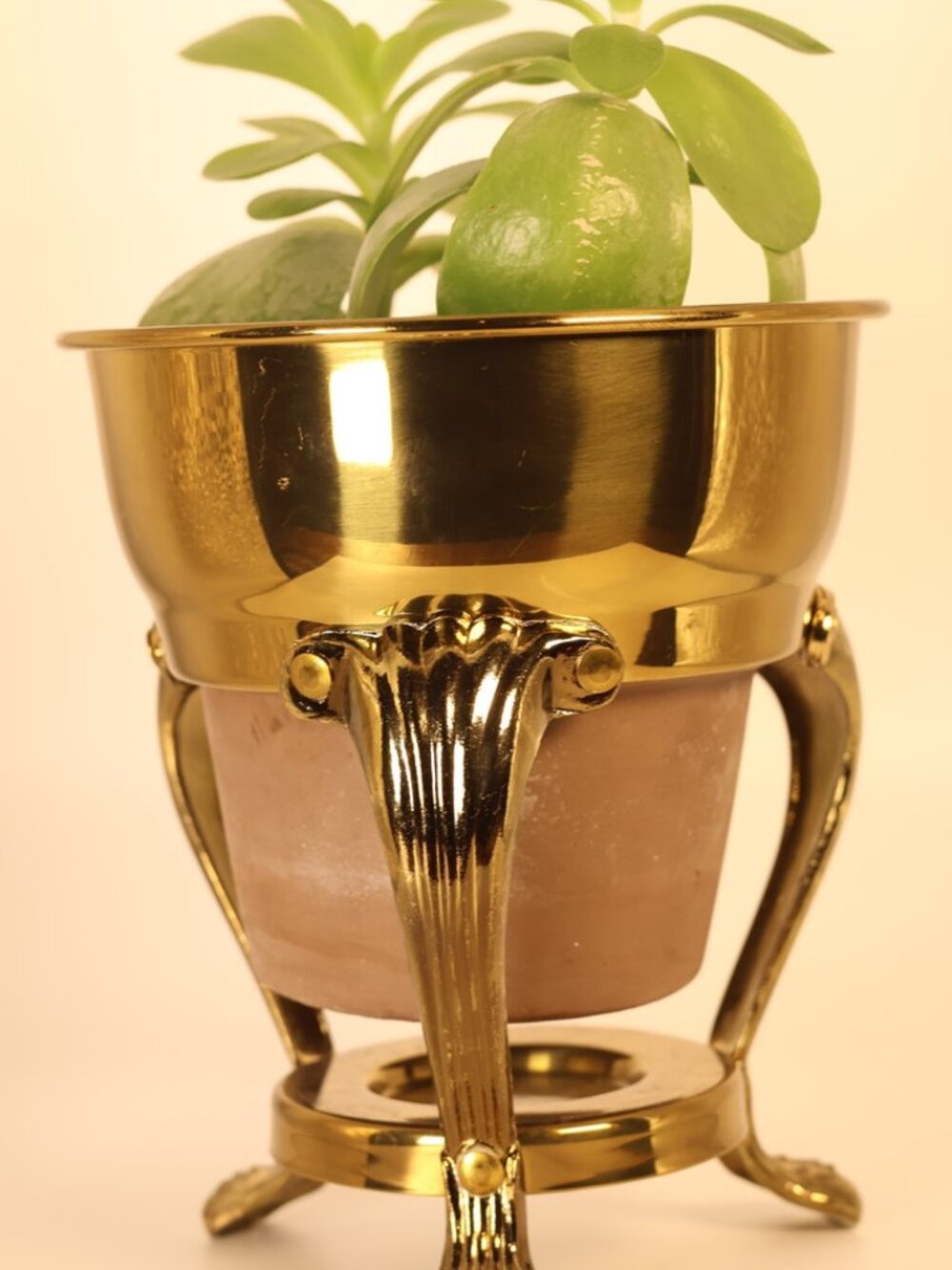 Vintage F.B. Rogers Brass Planter Chafing Stand with Claw Feet